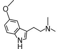 5-MeO-DMT