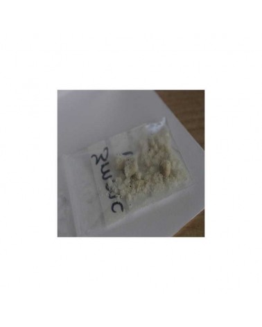 order THJ-018, 5FSDB005, 5FNPB22, FUBPB22, FUB-AMB, Methylone, U-47700 researchchemsonline.com 