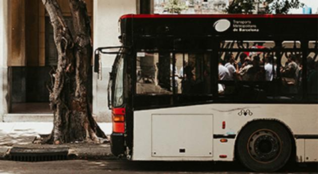 Transit Bus