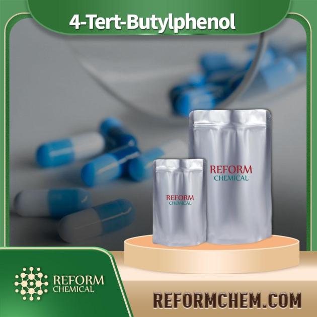 4-Tert-Butylphenol CAS No. 98-54-4 Wholesale & Bulk