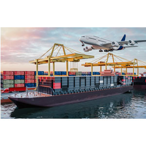 Realhong Logistics Transportation Services