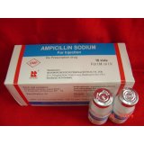 Ampiicllin Sodium for injection