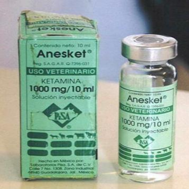 NEMBUTAL PENTOBARBITAL SODIUM LIQUID 250ML
