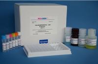 REAGEN Clenbuterol ELISA Test Kit