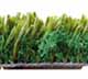 Grass Turf Lawn
