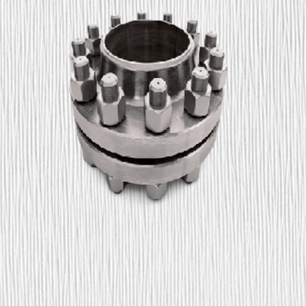 Hastelloy Flange