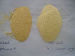 garlic granule