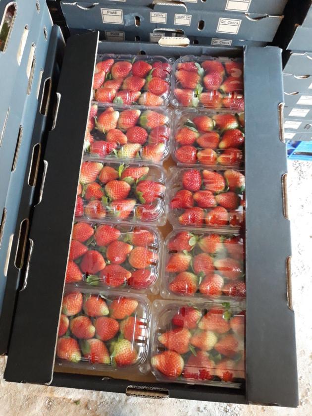 Strawberry