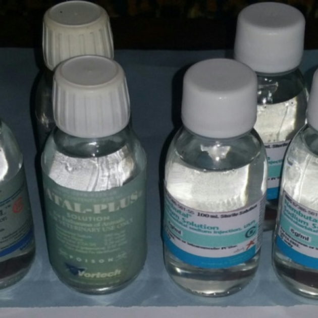 NEMBUTAL PENTOBARBITAL SODIUM LIQUID 250ML