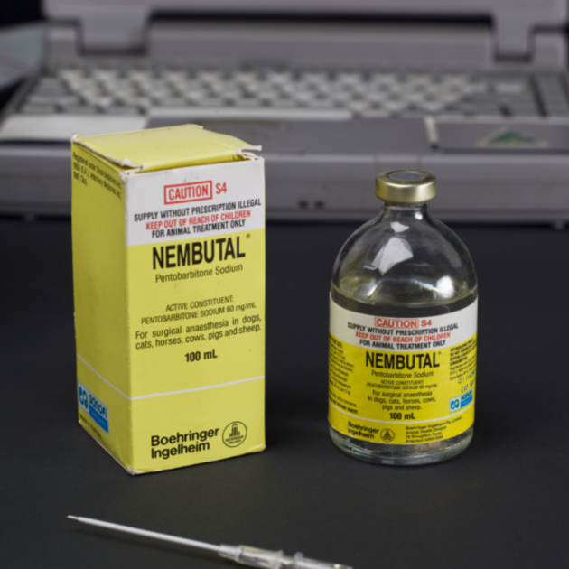 NEMBUTAL PENTOBARBITAL SODIUM LIQUID 250ML