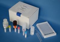 REAGEN Neomycin ELISA Test Kit