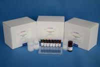 REAGEN Clonidine ELISA Test Kit