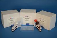 REAGEN Total Antibiotics in Milk Test Kit