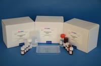 REAGEN NeomycinELISA Test Kit