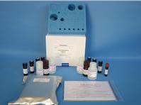 REAGEN Zearalenone Toxin ELISA Test Kit