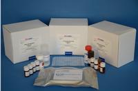 REAGEN Zilpaterol ELISA Test Kit