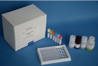 REAGEN Nitrate/Nitrite Assay Kit 