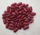 red kidney bean