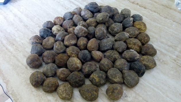 Shelled Candlenut