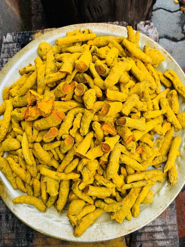 turmeric 