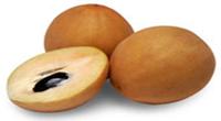 Freeze Dried Sapodilla/Sapotta