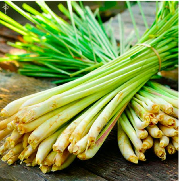 Lemongrass oil