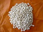 White kidney bean