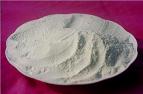onion powder
