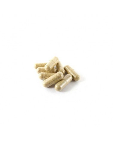 Order Quality DMT Powder Buy Lysergamide