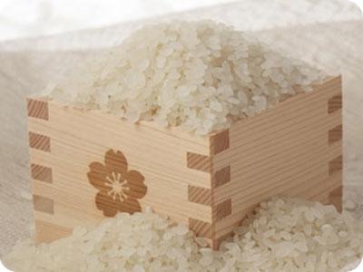15T D Double Iron Roller Rice