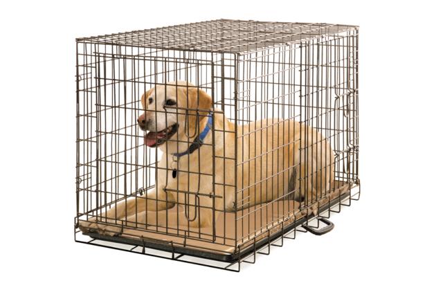 Foldable Metal Wire Dog Cage;Metal Wire Dog Cage;Foldable Dog Cage