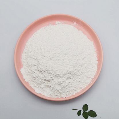 Chloroquine Diphosphate Sulphate Cas 50 63