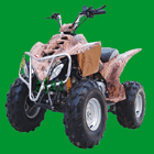 ATV, quads