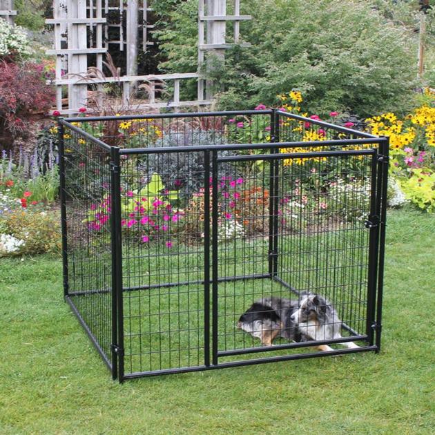 Welded Dog Kennel