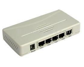 Fast Ethernet Switch