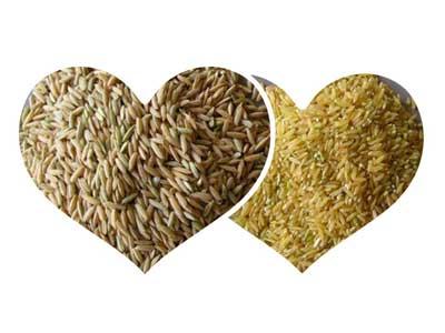 MLGT Series Rice Huller