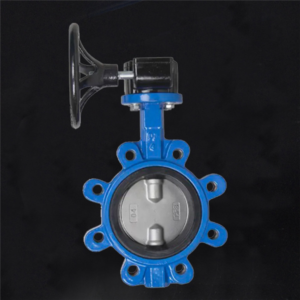 R502 Lug Type BLFY Cast Iron Valve
