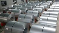 electric galvanized steel coil
