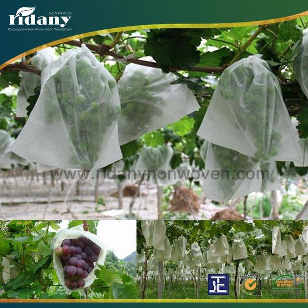 Fruit cover protection bag