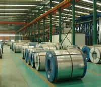 galvanised steel coil