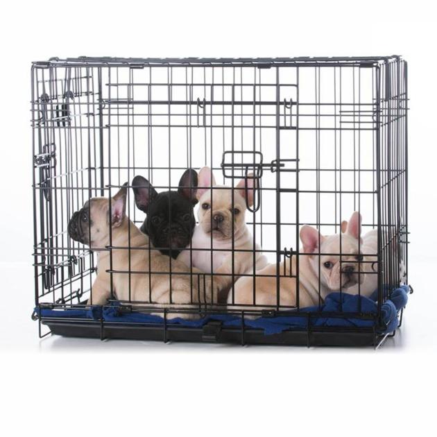 Wire Dog Crates