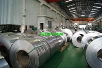 Cold Rolled Stainless Steel Strip