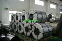 Hot Rolled Stainless Steel Coil 304