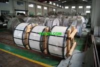 Hot Rolled Stainless Steel Coil 