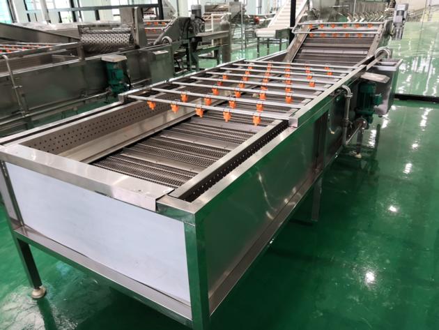 Leaf Vegetable Washing Machine Tomatoes Vegetable