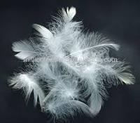 washed white duck feather