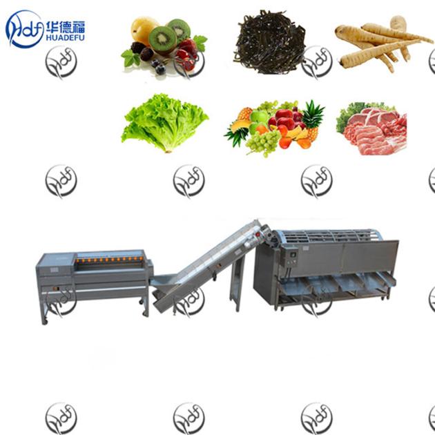 Leaf Vegetable Washing Machine Tomatoes Vegetable
