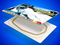Chip card supplier,Chip card manufacturer,Chip card