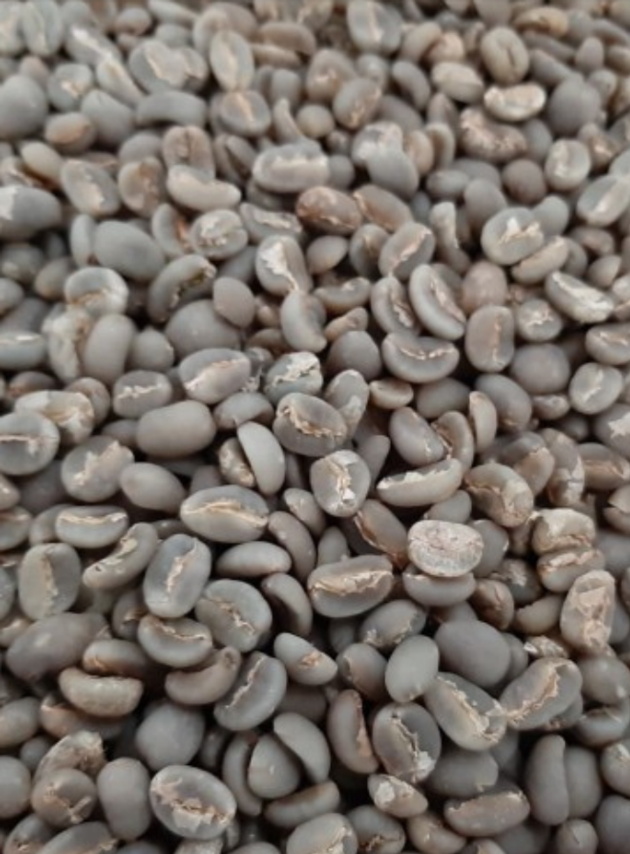 Coffee Beans Arabica Java