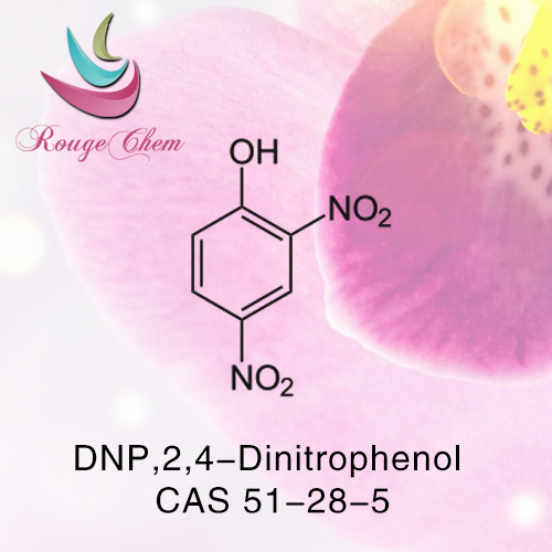 DNP,2,4-Dinitrophenol CAS 51-28-5